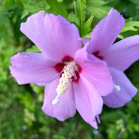 Moulin A Vent De Prentygarde En Dordogne منزل للإقامة *