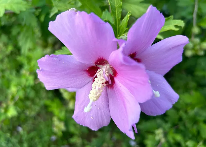 Moulin A Vent De Prentygarde En Dordogne Habitación en casa particular *
